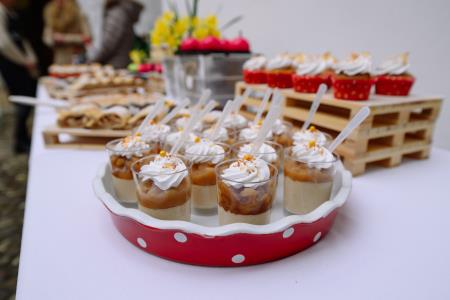 otvoritev grad Podsreda, 26.3.2025_Izidor Kotnik (121)